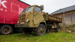20250208-Lewiszong-00535